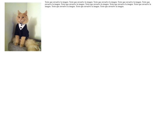 EJERCICIS_HTML/25-Ejemplo screenshot