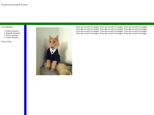 EJERCICIS_HTML/36-Ejemplo screenshot