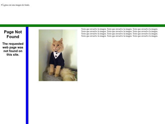 EJERCICIS_HTML/37-Ejemplo screenshot