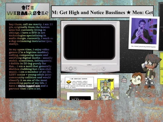 webmaster screenshot