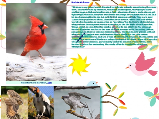 Birds screenshot