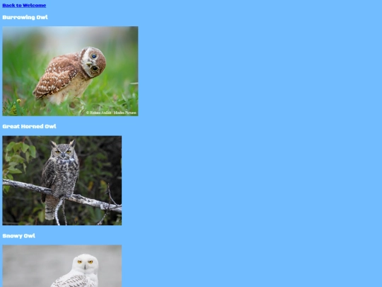 Images screenshot