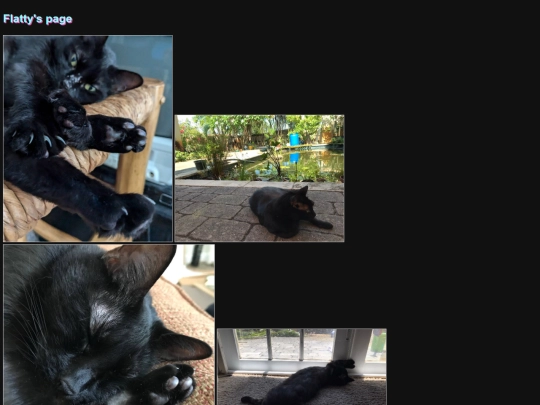 hi/flatty screenshot