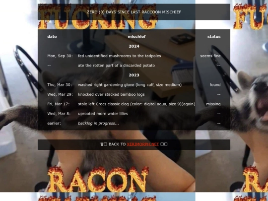 raccoon screenshot