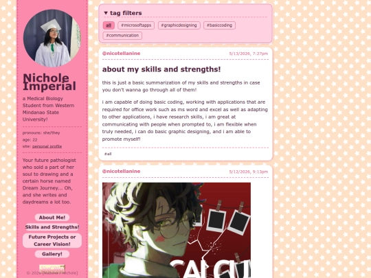 skillsandstrengths screenshot