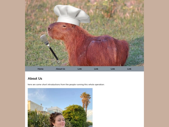 pages/aboutUs screenshot