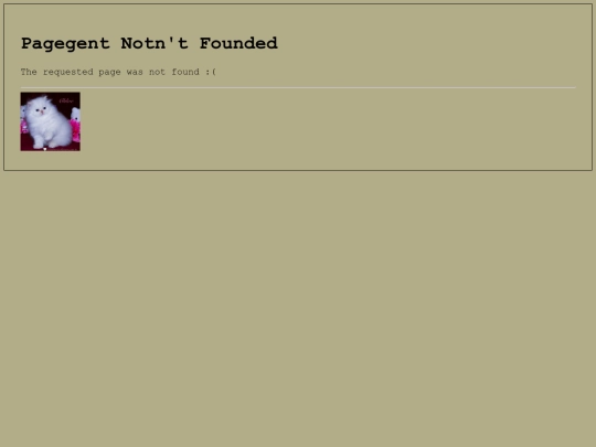 not_found screenshot