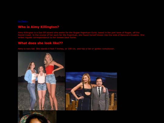 aimylookbook screenshot