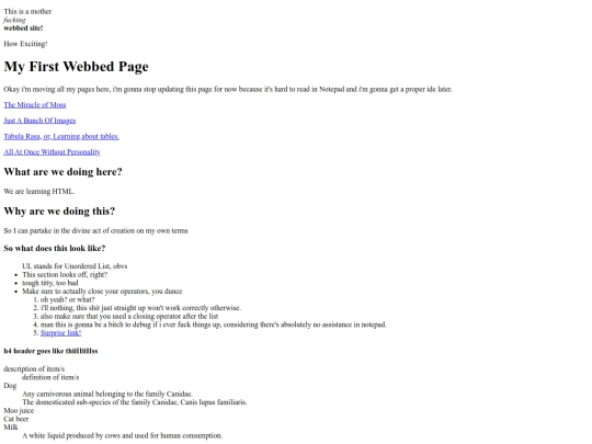 indextemplate screenshot