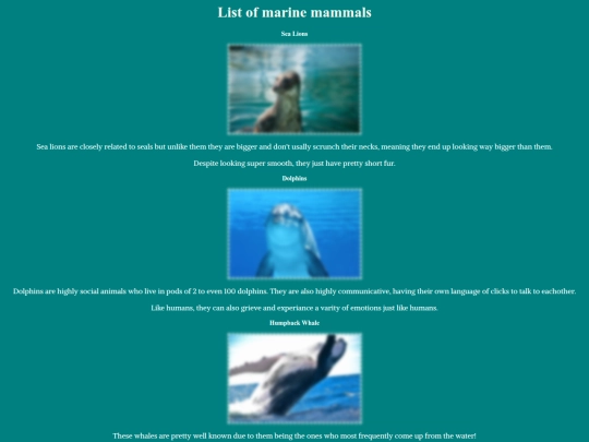 sea/page2 screenshot