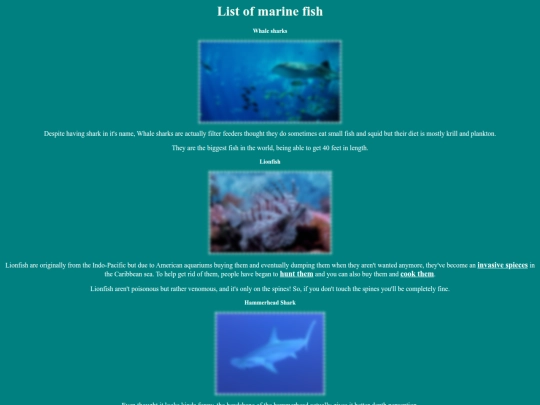 sea/page3 screenshot
