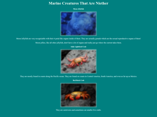 sea/page4 screenshot