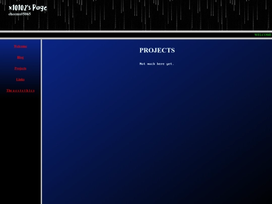 projects screenshot