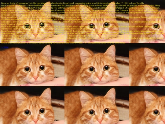 12_3_pagina screenshot
