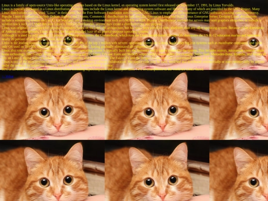 12_4_pagina screenshot