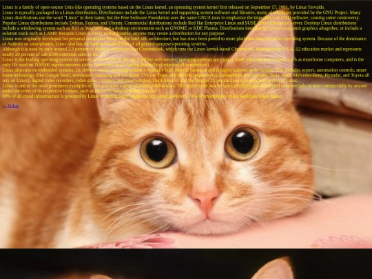 12_5_pagina screenshot