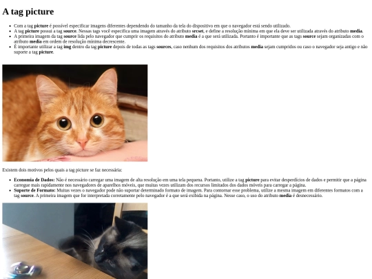 13_picture screenshot