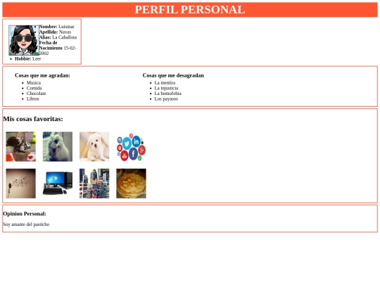 Perfil screenshot