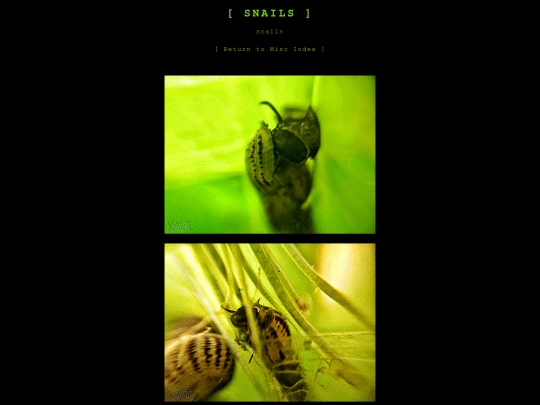snail/snails screenshot