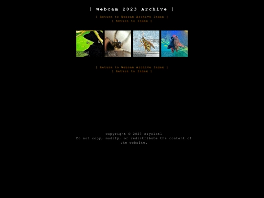 webcam/webcam2023 screenshot