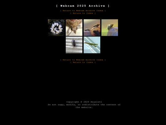webcam/webcam2025 screenshot