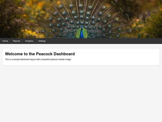 Dahboard screenshot