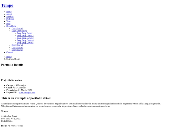portfolio-details screenshot