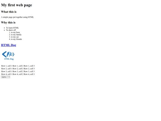 webpage/firstpage screenshot