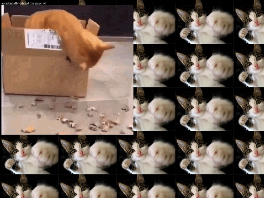 sillies/cat screenshot