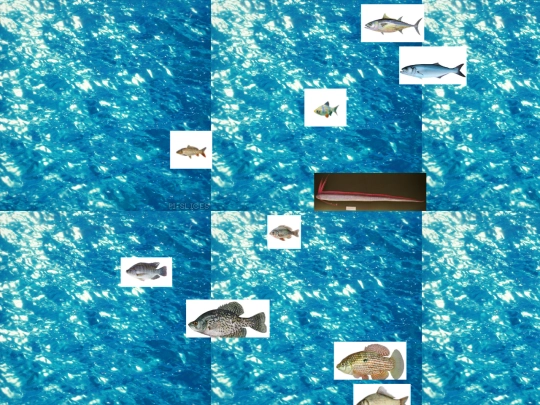 sillies/fish screenshot
