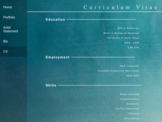 cv screenshot