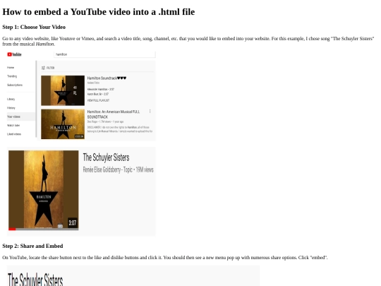hamiltonembedvideo screenshot