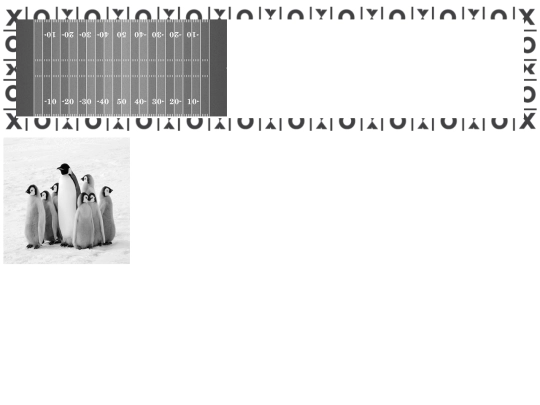imitationassignment/imitationassignment screenshot