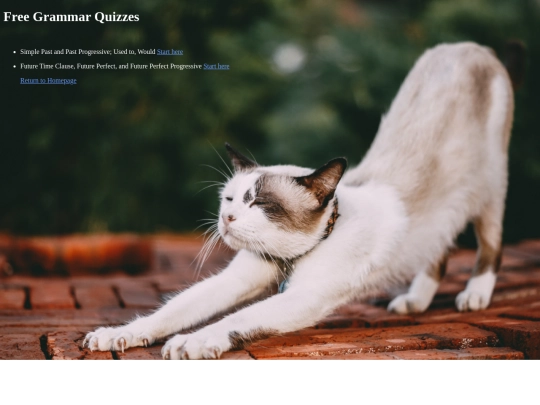 Quizzes screenshot