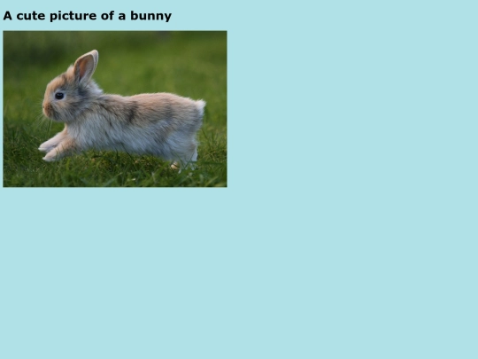 bunnypic screenshot