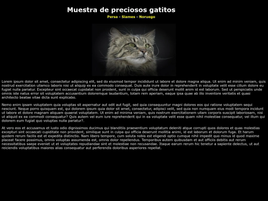 folder_examen12/indexnoruego screenshot