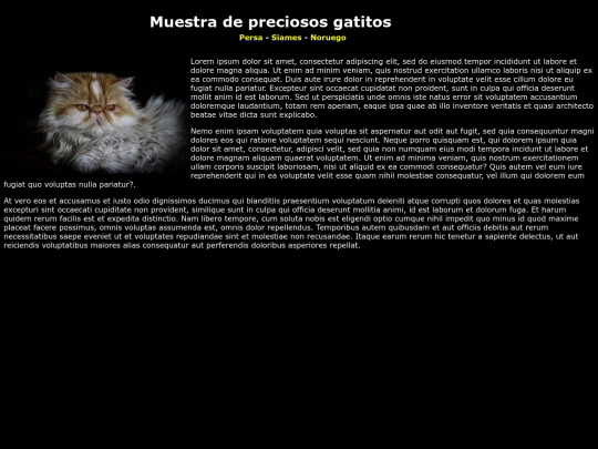 folder_examen12/indexpersa screenshot