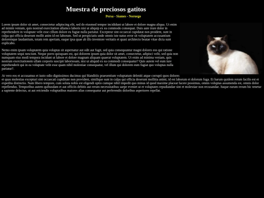 folder_examen12/indexsiames screenshot