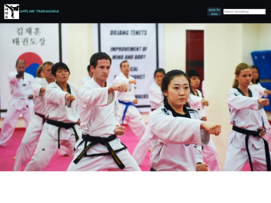 taekwondo website screenshot