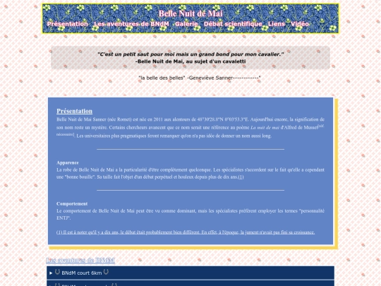 bndm screenshot