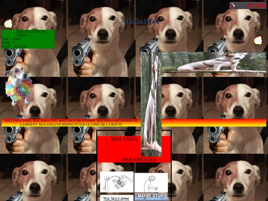 malanga screenshot