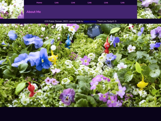 AboutMe screenshot