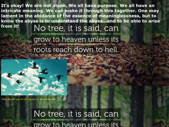 everythingisokayIpromise screenshot