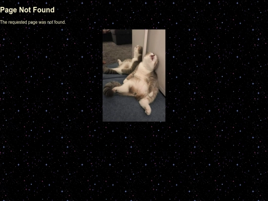 not_found screenshot
