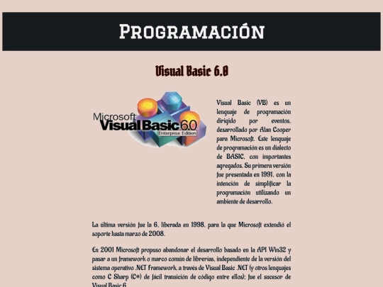 Programacion screenshot