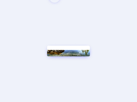 profile screenshot