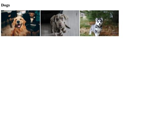 Dog screenshot