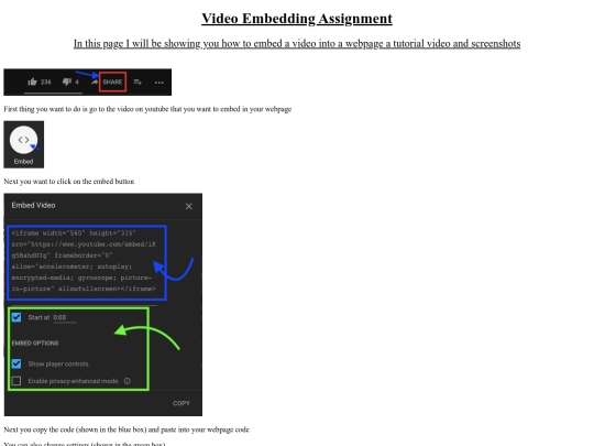VideoEmbeddingAssignment screenshot