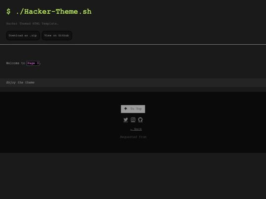 pages/hacker-theme-page3 screenshot