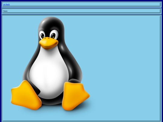 coding screenshot